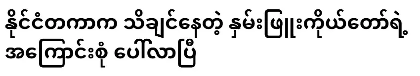 The whole story of Sesame Pyu, which the international community wants to know, has come to light