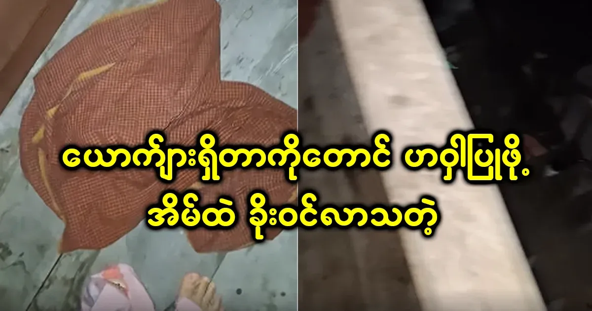 They are doing business with each other in Myanmar