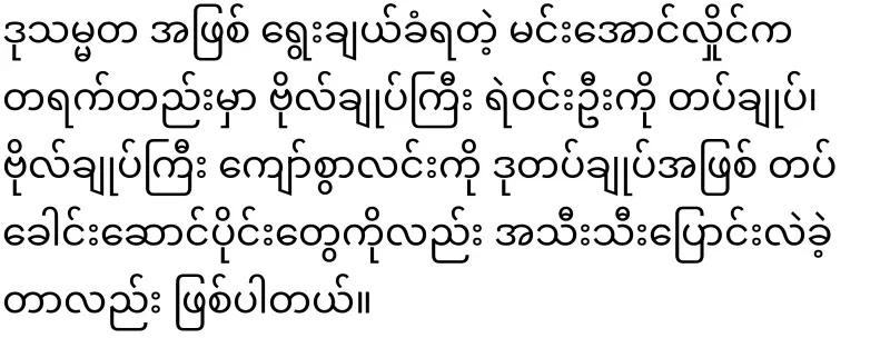 The People's Hluttaw elected Min Aung Hlaing as Vice President