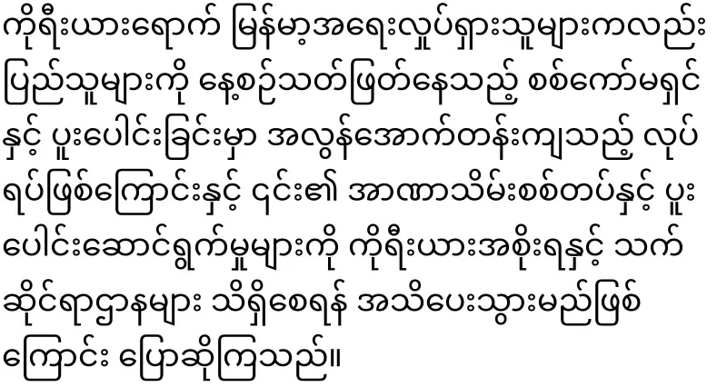 Chan Mya Thaw, whose case became bigger because of the solution