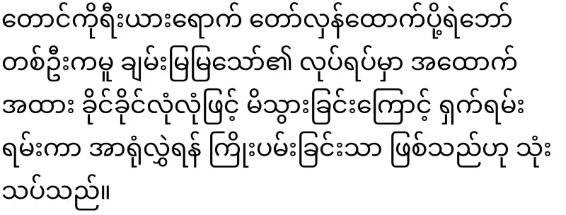 Chan Mya Thaw, whose case became bigger because of the solution