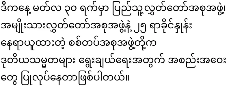 The People's Hluttaw elected Min Aung Hlaing as Vice President