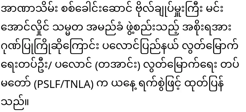 TNLA came to support Min Aung Hlaing