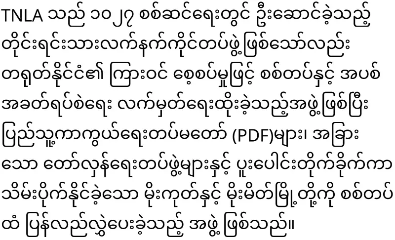 TNLA came to support Min Aung Hlaing