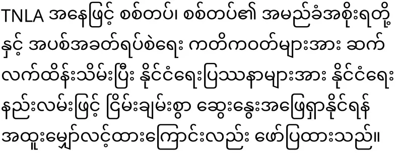 TNLA came to support Min Aung Hlaing