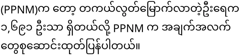 Dr. Myo Nyun is being summoned by the army for examination