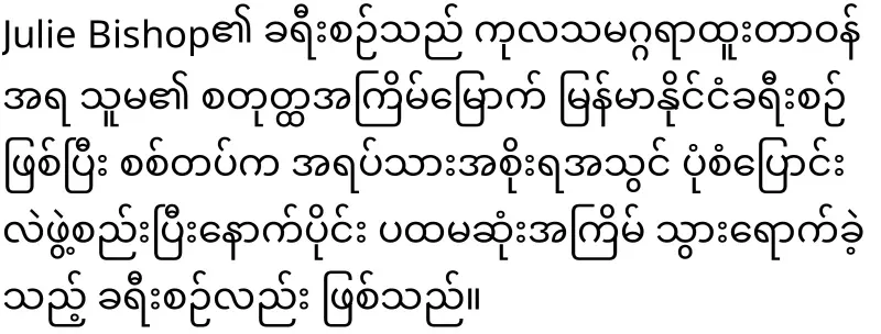 The activities of the UN regarding Myanmar
