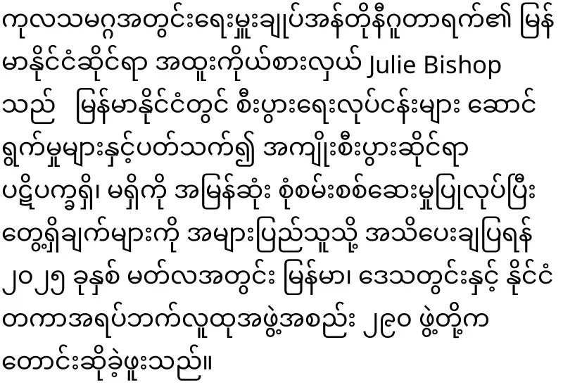 The activities of the UN regarding Myanmar