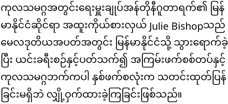 The activities of the UN regarding Myanmar