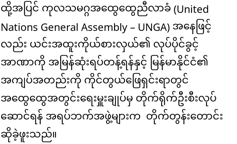 The activities of the UN regarding Myanmar