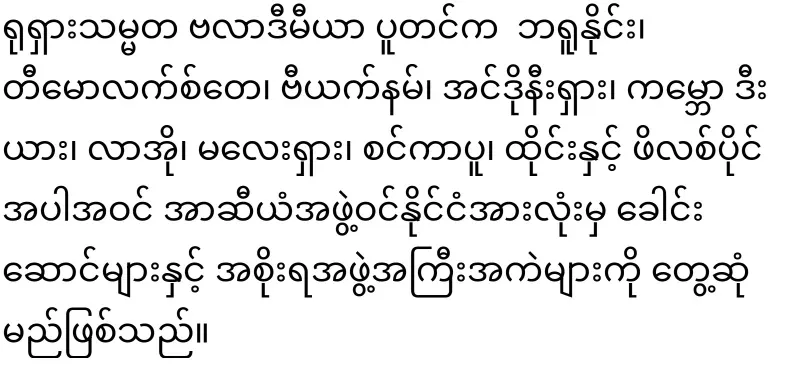 Min Aung Hlaing was not allowed to attend the Russia-ASEAN meeting