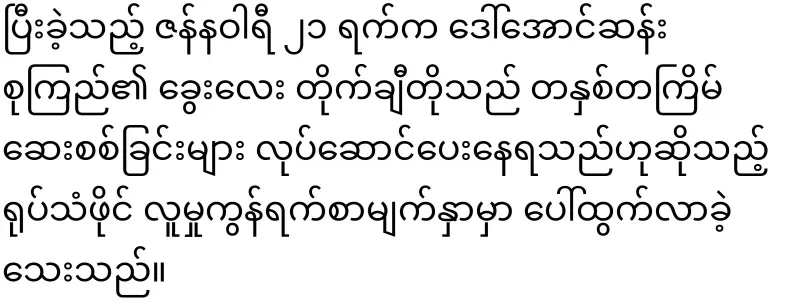 Daw Aung San Suu Kyi's dog Taichito's last journey