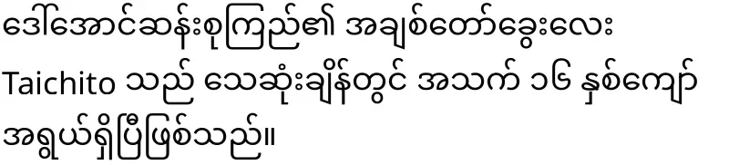 Daw Aung San Suu Kyi's dog Taichito's last journey