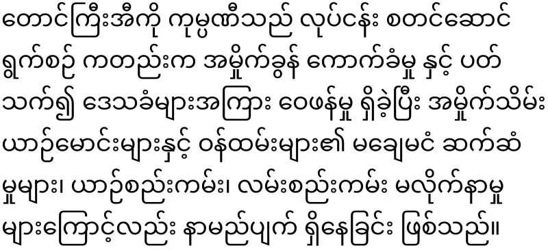 Taunggyi Eko was a garbage collection driver