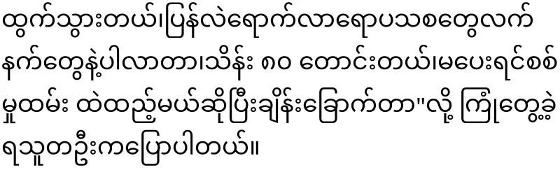 Burmese military council troops appear in the form of tigers