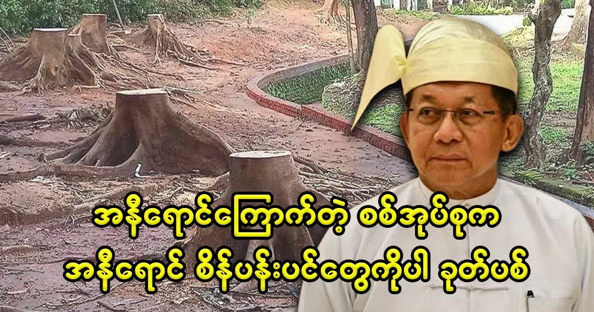 They asked me to cut down the red diamond flowers in Yangon University because they were afraid of red