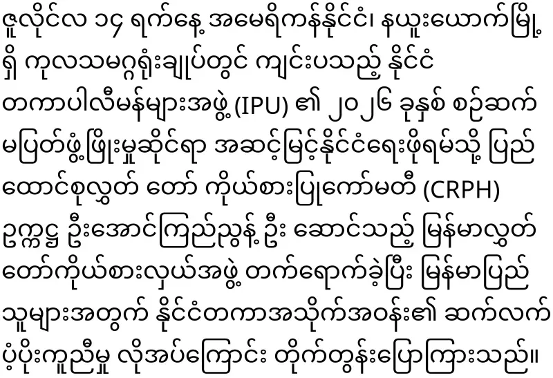 CRPH Chairman U Aung Kyinyun attended the United Nations Political Forum
