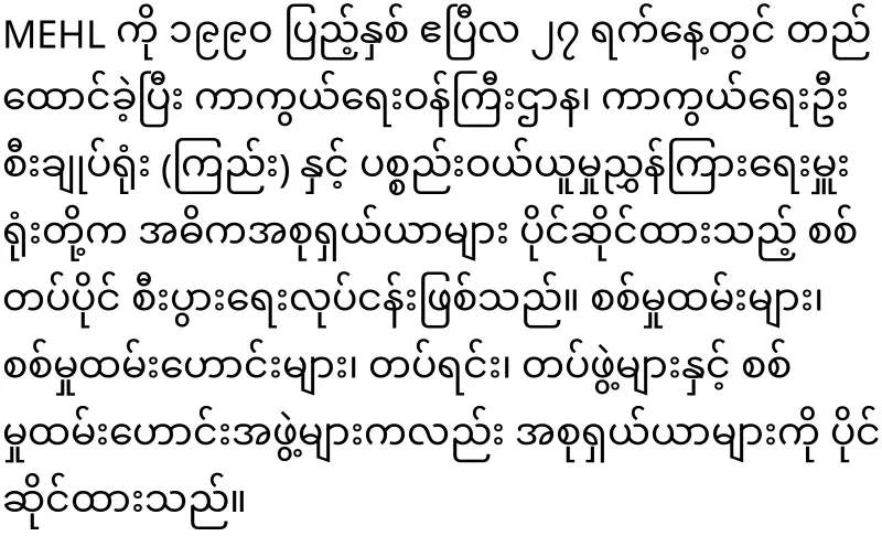 Min Aung Hlaing granted tax exemptions to military-owned businesses