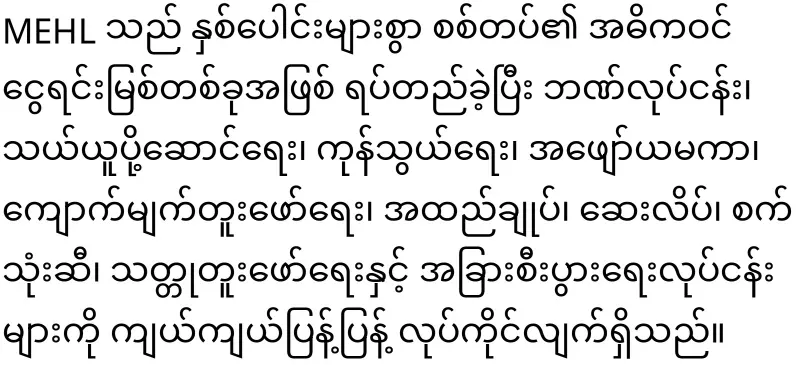 Min Aung Hlaing granted tax exemptions to military-owned businesses