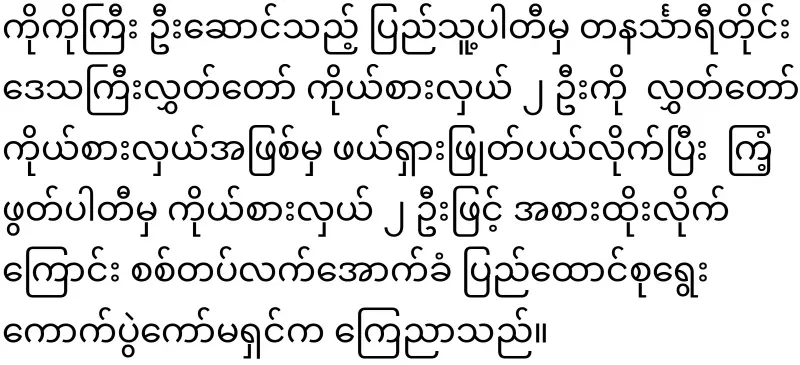Min Aung Hlaing has encouraged Ko Ko Gyi and Soe Win