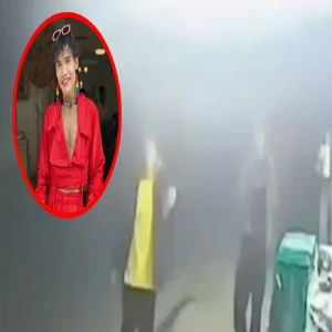 A detailed video file of the Irrawaddy case has been released