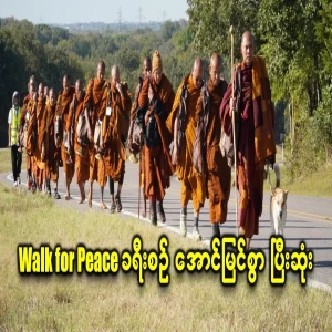 The Buddhist monks' Walk for Peace tour has ended successfully