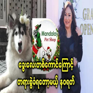 Actress Navarat has already been sued