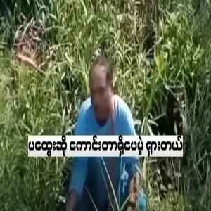 The older brother intervened because the stepfather was going wrong