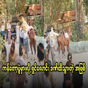 As a lottery game that went wrong