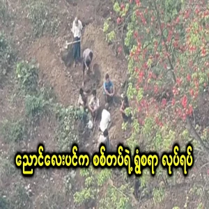 A shocking incident that happened in Banyan Tree