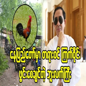 Butlekyi, who will officially open a chicken ring in Nay Pyi Taw