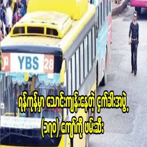 The birds in Yangon are really bitter