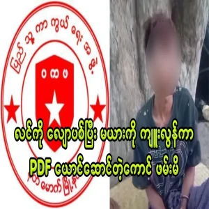 PDF impersonator arrested