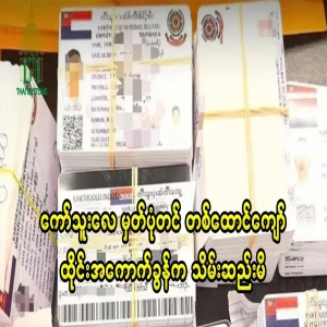 Thai customs confiscated more than 1,000 kothule registrations
