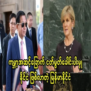Myanmar, which reached the world level (6).