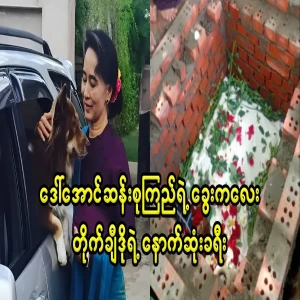 Daw Aung San Suu Kyi's dog Taichito's last journey