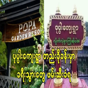 11 people staying at a resort in Pappa area