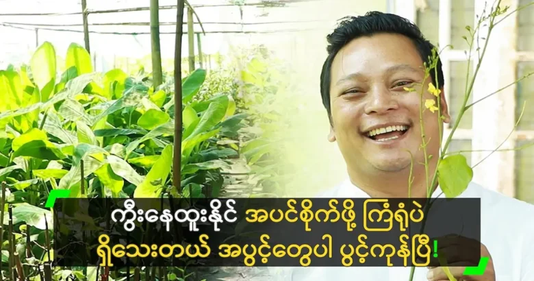 Actor Nay Htoo Naing want to grow the tree <img src="https://news.ovurl.com/wp-content/uploads/2024/05/NayHtooNaing4-05-06-210358-jpg.webp" alt="Actor Nay Htoo Naing want to grow the tree">