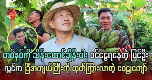 Singer Vayu Kyaw revealed the great farm