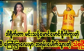 Beauty queen Thae Su Nyein returns to her business with advertisements 